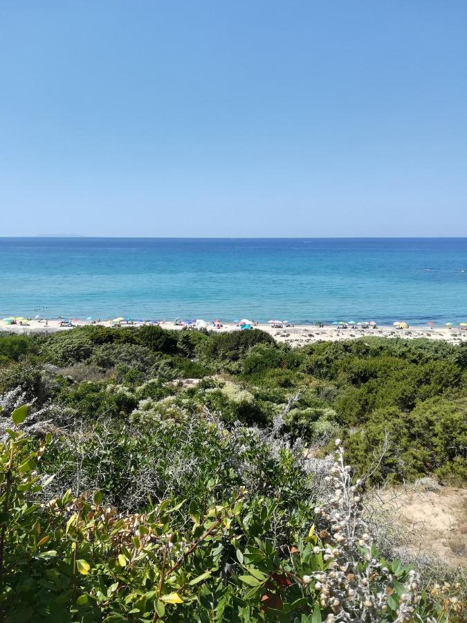 Sea Paradise Apartment Valledoria (Sardinia) Exterior foto